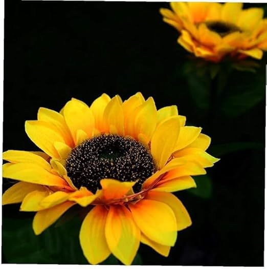 Sunflower Solar Garden Lights